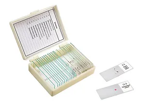 Набор микропрепаратов Микромед «Зоология», 11 образцов, изображение 1