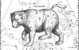 Почему созвездие называется Медведицей