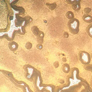 Микроскоп металлографический инвертированный MAGUS Metal V790 DIC, изображение 12