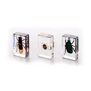 Стереомикроскоп Velvi «Первоклашка 3D» 20x, изображение 3