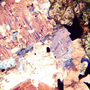 Микроскоп поляризационный MAGUS Pol 800, изображение 16