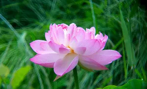 Фототелескоп Levenhuk Kelvin MAK80 AZ, изображение 8