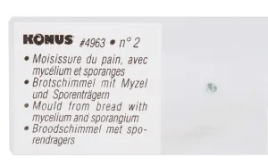 Набор микропрепаратов Konus 10: «Биология» (часть 1), изображение 7