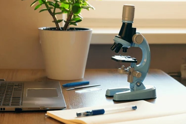 Микроскопы для дома: какие задачи можно решать с их помощью